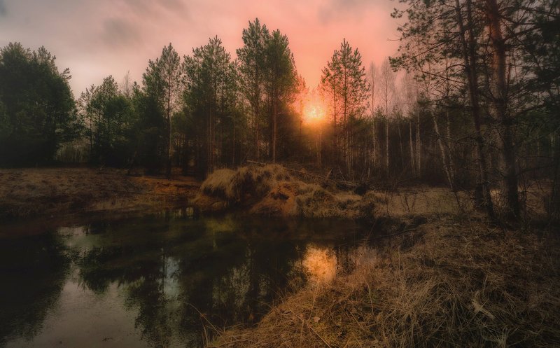 *** фото превью