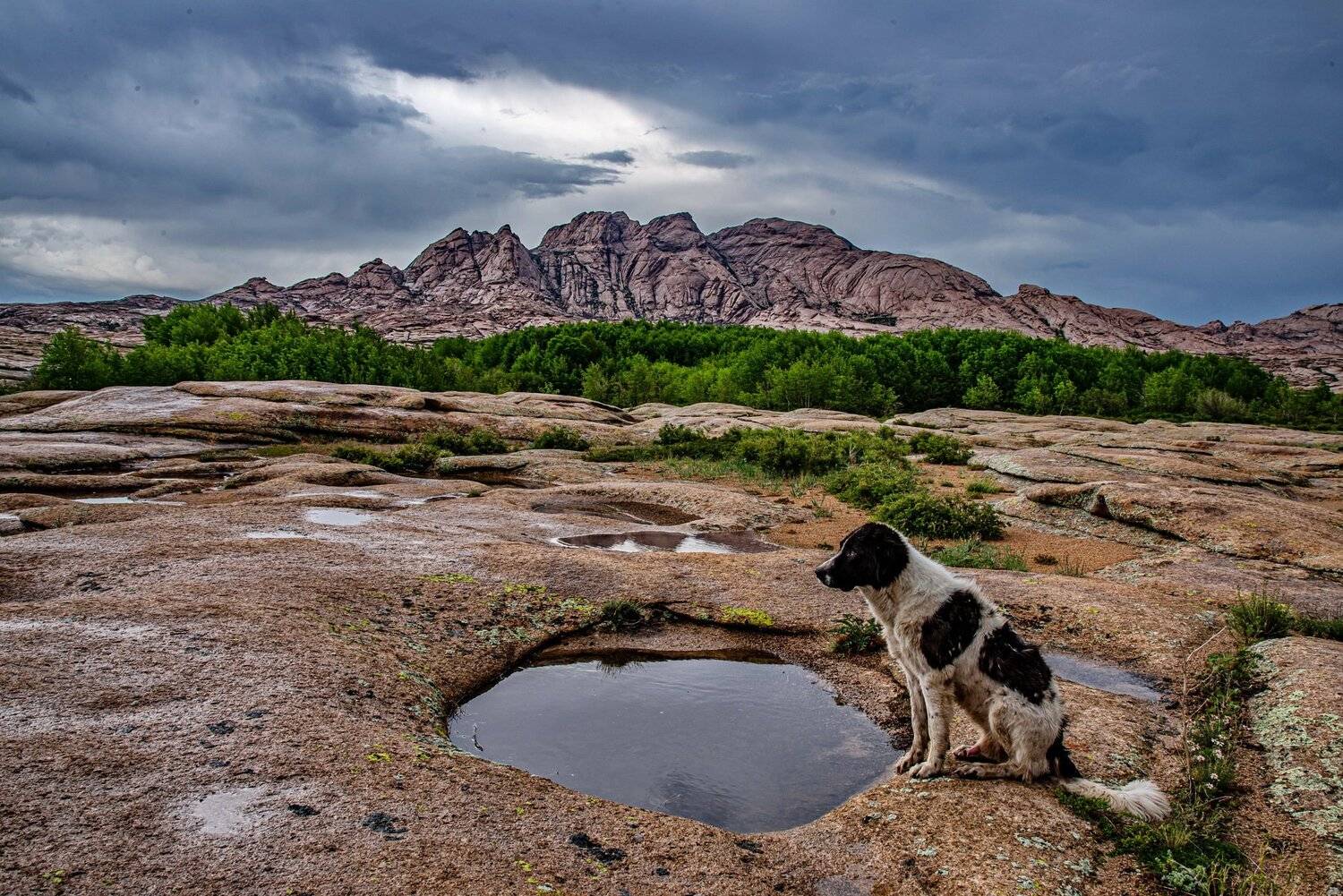горы, Евгений Дроботенко