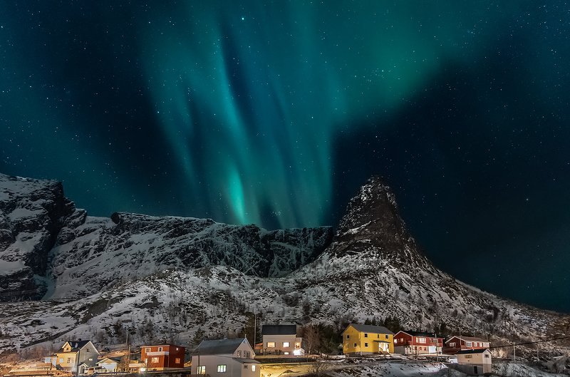 Reine фото превью