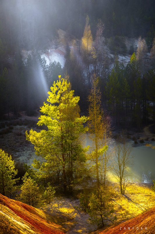 последние лучи,лучи,zanfoar,czech republic,nikon 750,czechia,чехия последние лучи фото превью