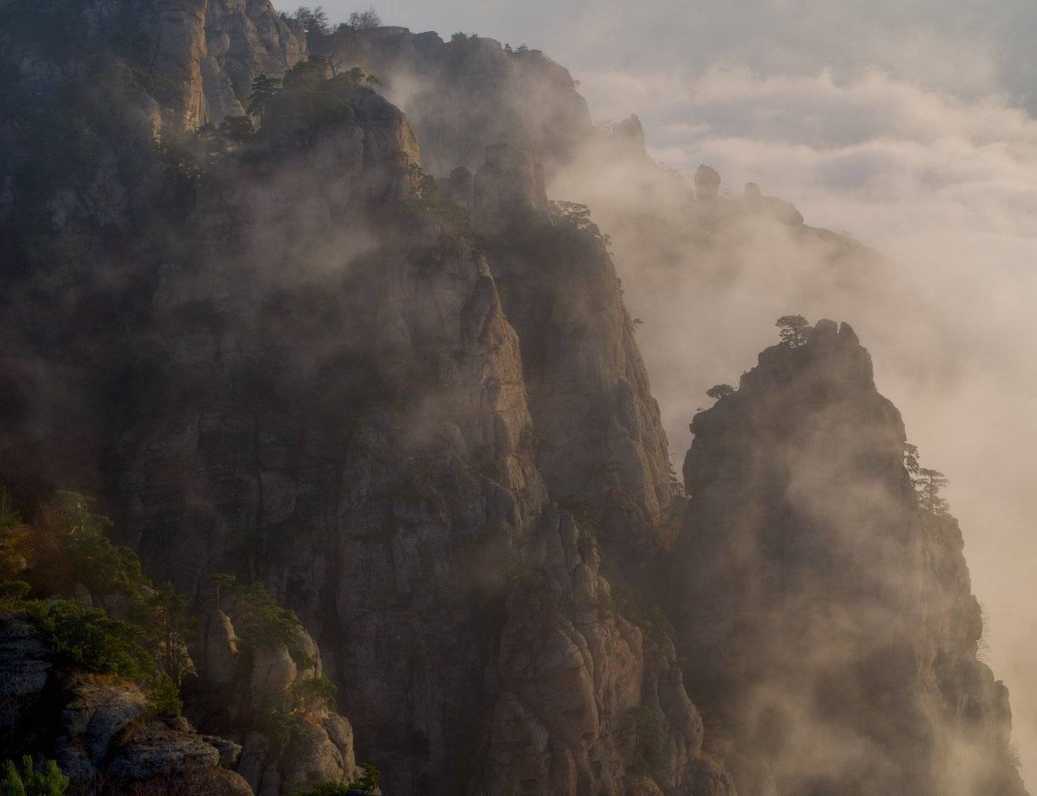 , Романский Владимир (NikonZoom)