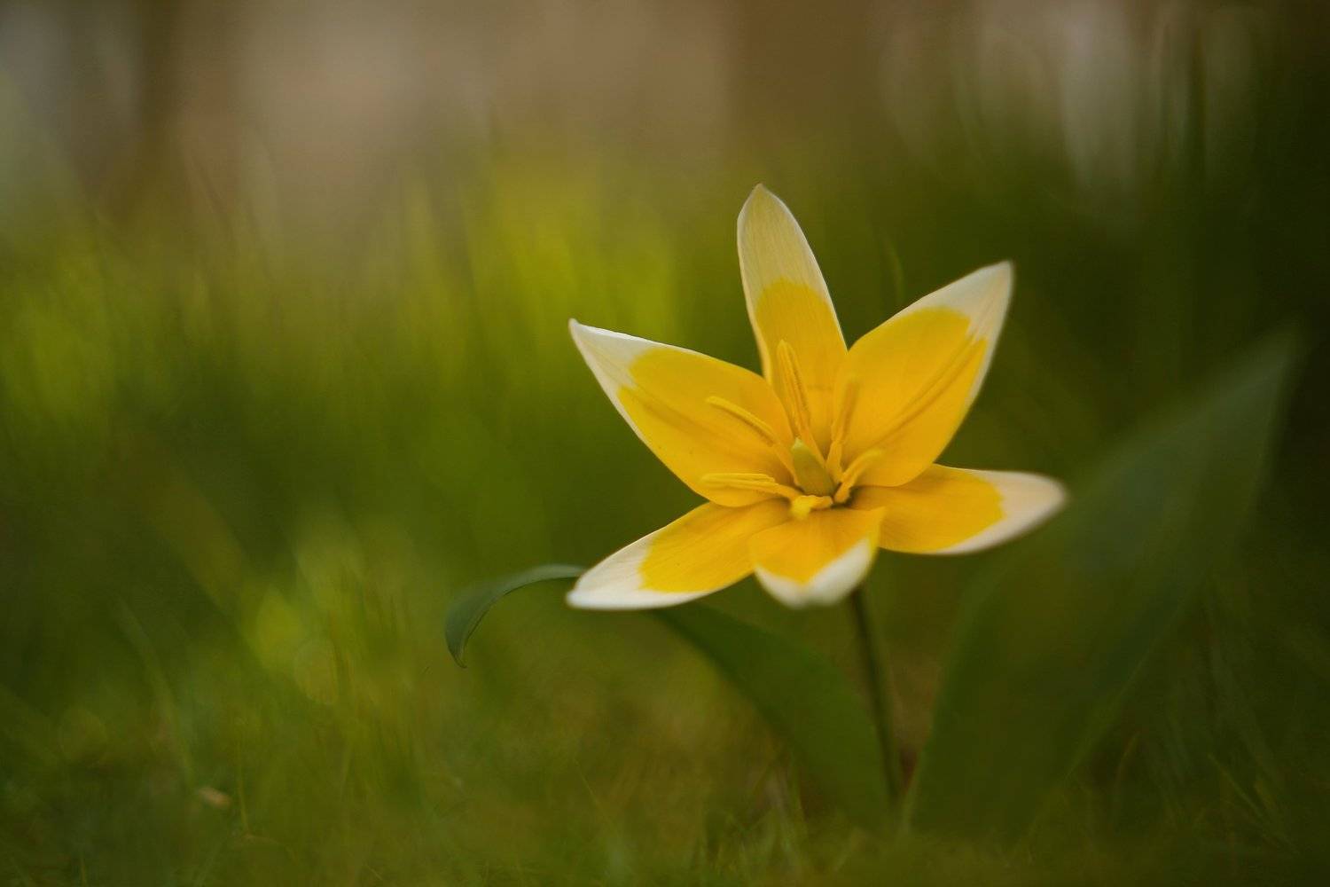 , Эдуард Колобошников