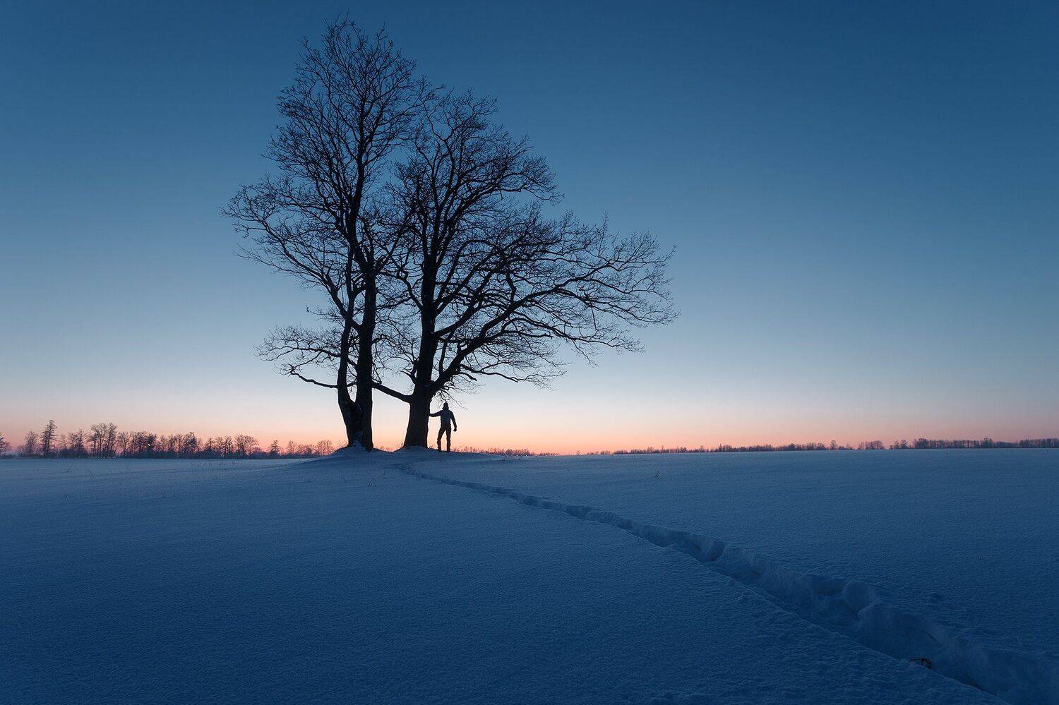 , Вячеслав Молодцов