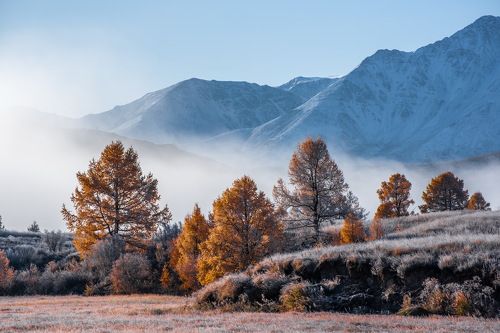 Осень на Алтае