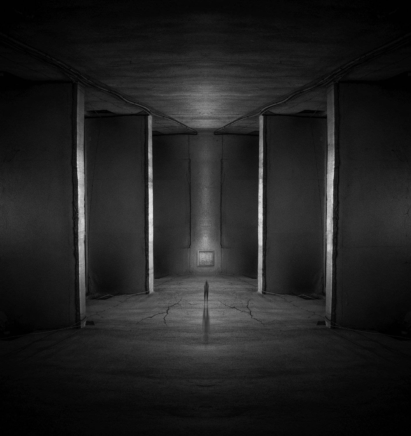 fineart, Shervin Khan Mohammadi