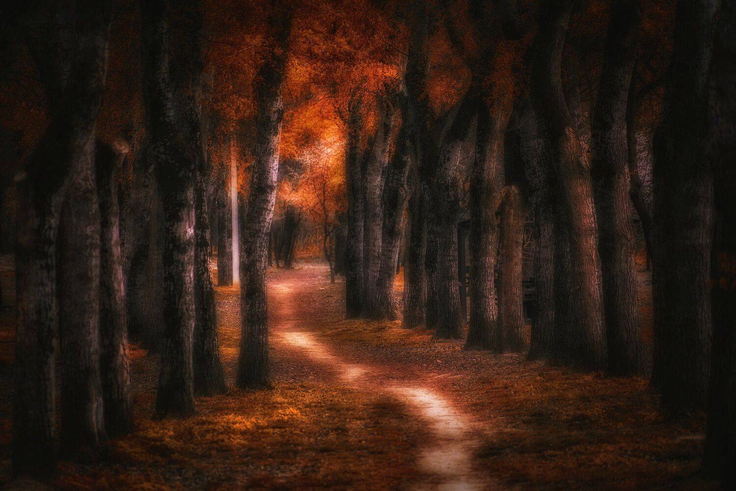 , Павел Сагайдак