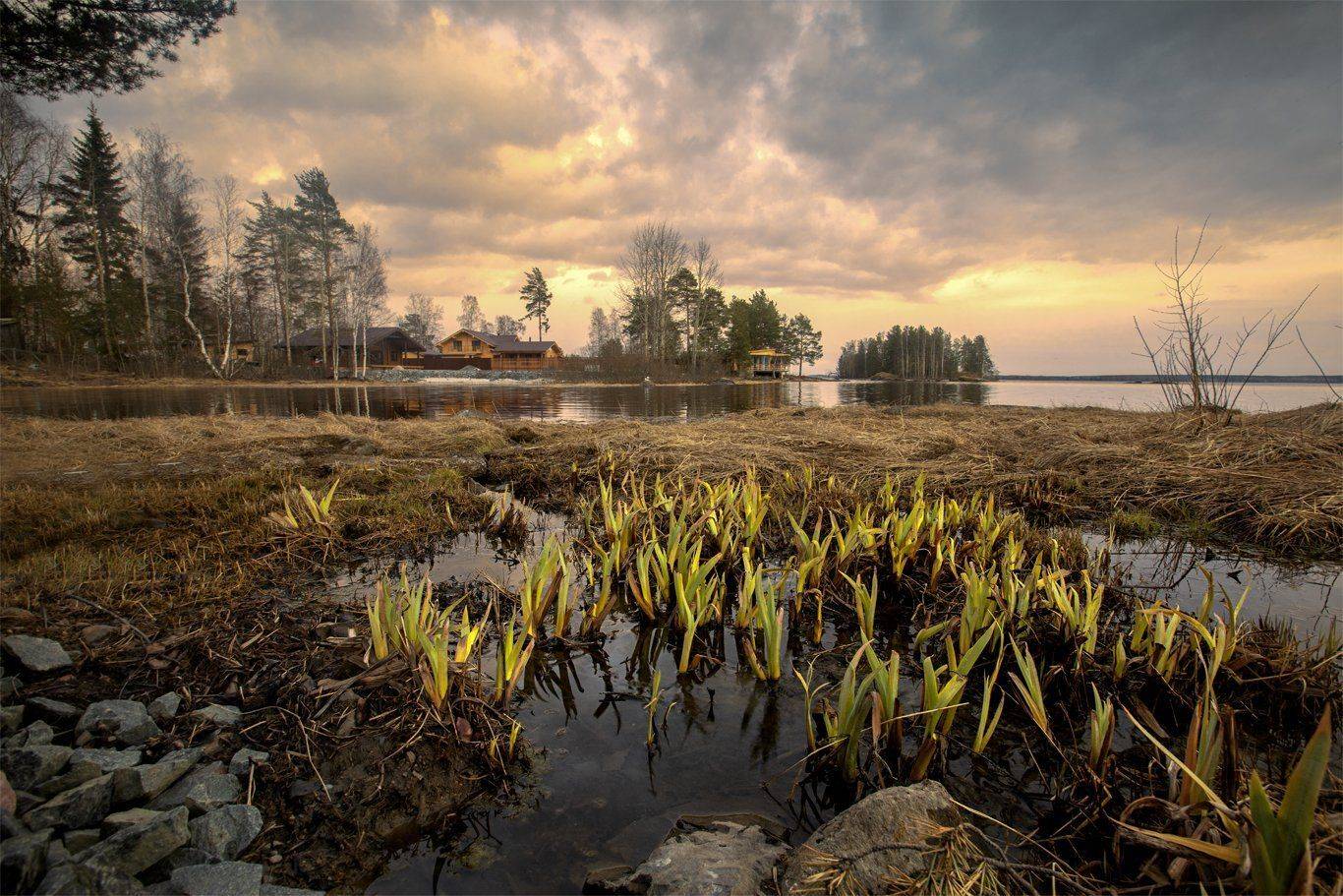 , Андрей Ершов