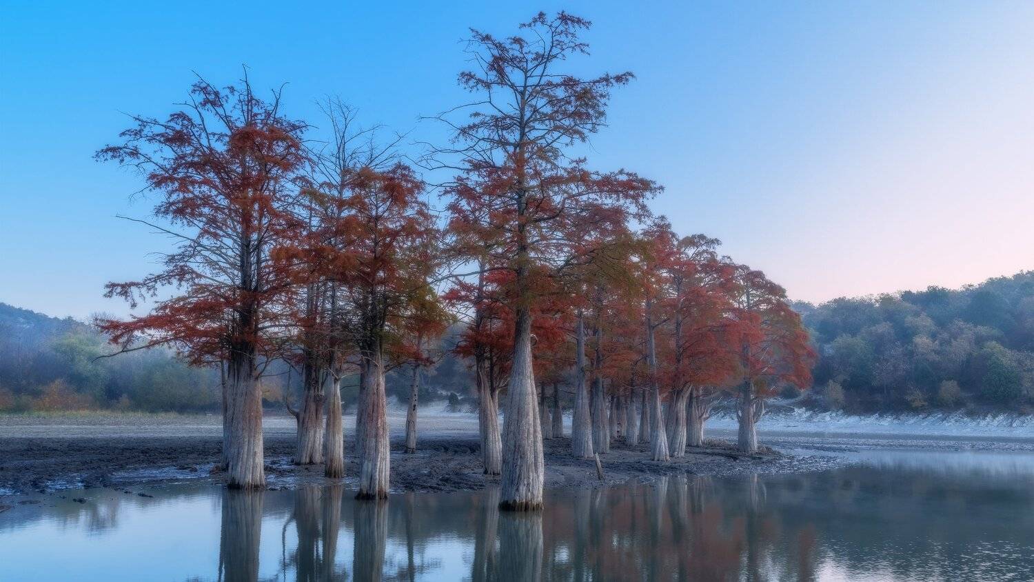 , Alexander Plekhanov