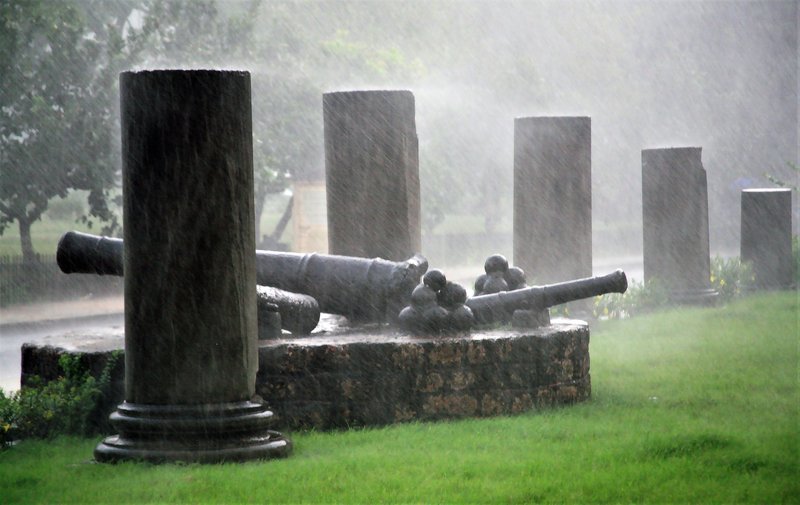 ....тропический ливень.... фото превью