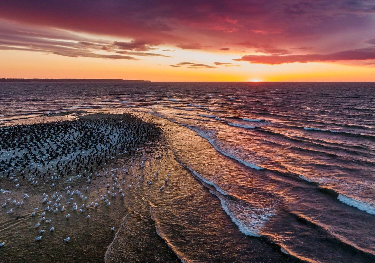 , Александр Абросимов