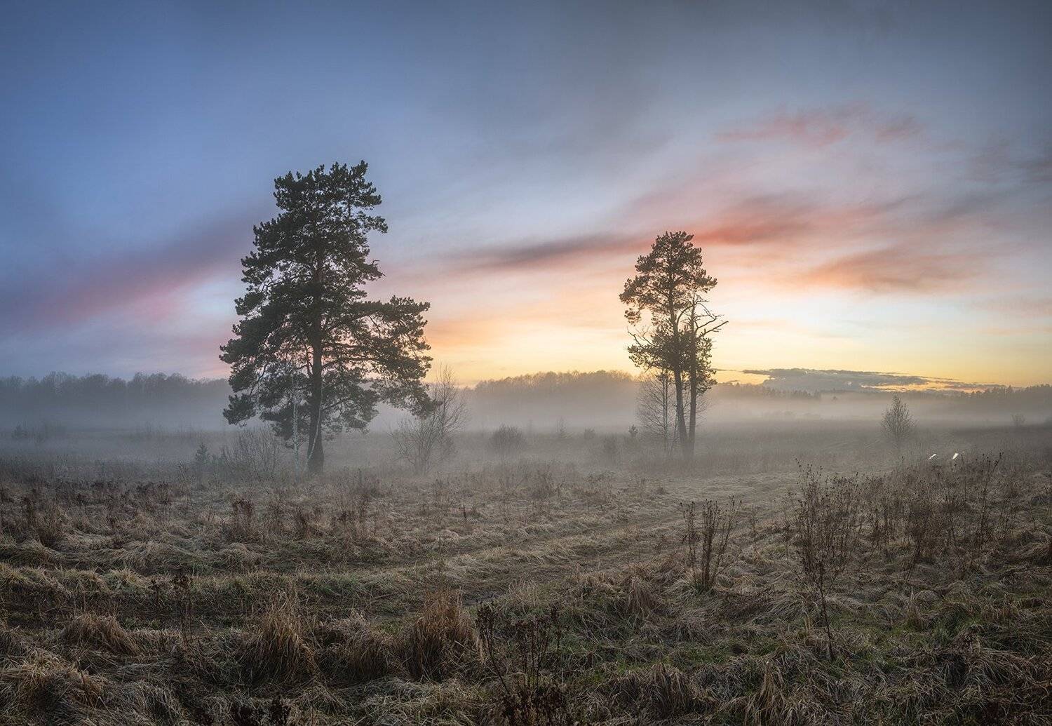 , Николай Андреев