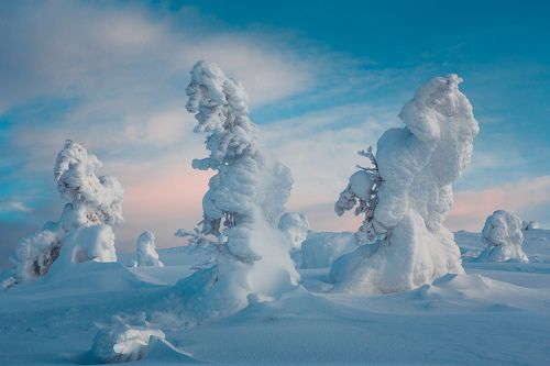 Три сестрицы