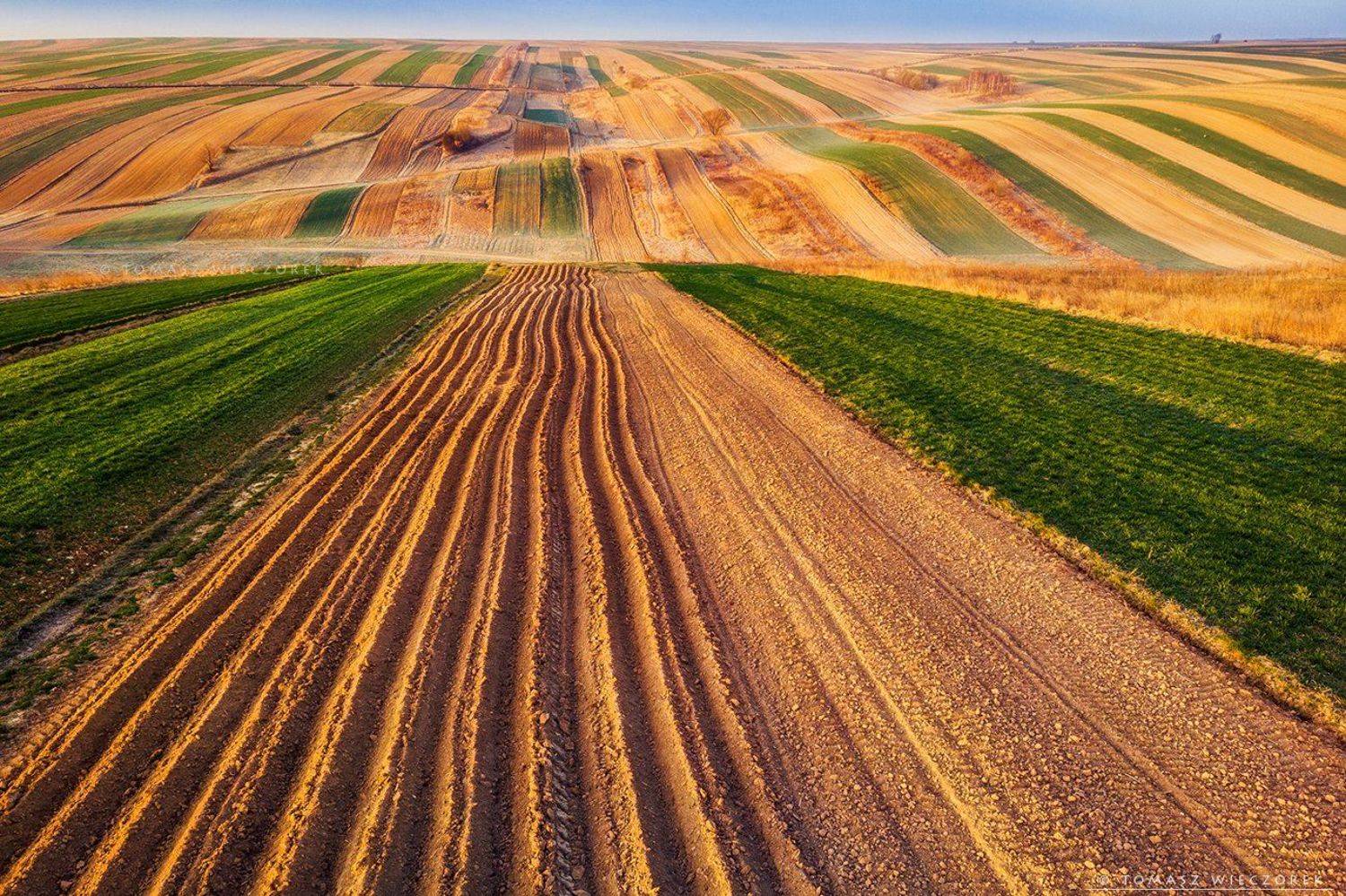 poland, polish, landscape, sunrise, sunset, colours, awesome, amazing, adventure, travel, beautiful, morning, light, fields, spring, drone, air, infinity, carpets, Tomasz Wieczorek