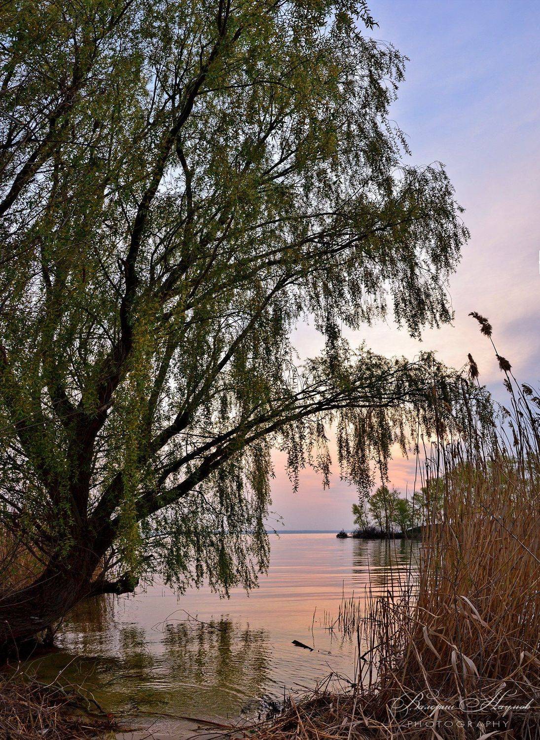 утро, 19 апреля, пасха, рассвет, восход, река, небо, Валерий Наумов