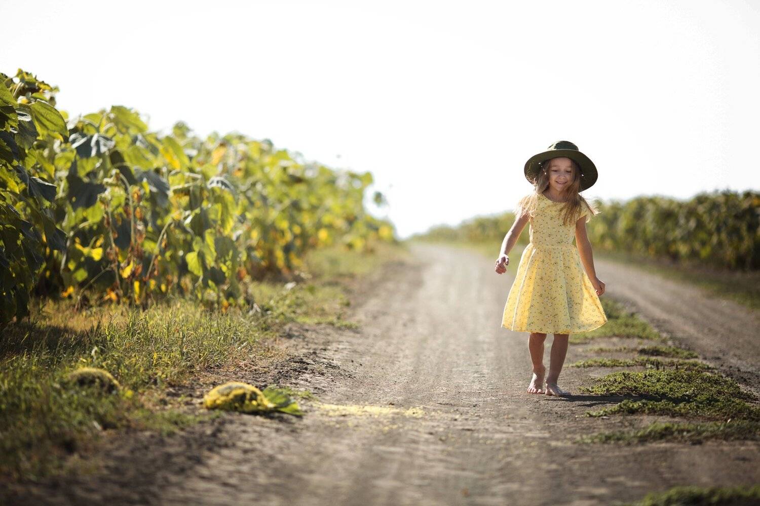 подсолнухи, поле, солнышко, семечки, девочка,топ фотограф, детский фотограф, семейный фотограф, детская фотография, детский портрет, портрет, портретный фотограф, известный фотограф, фотограф Валерия мороз, сказочная ретушь, волшебный свет, волшебная обра, Валерия Мороз