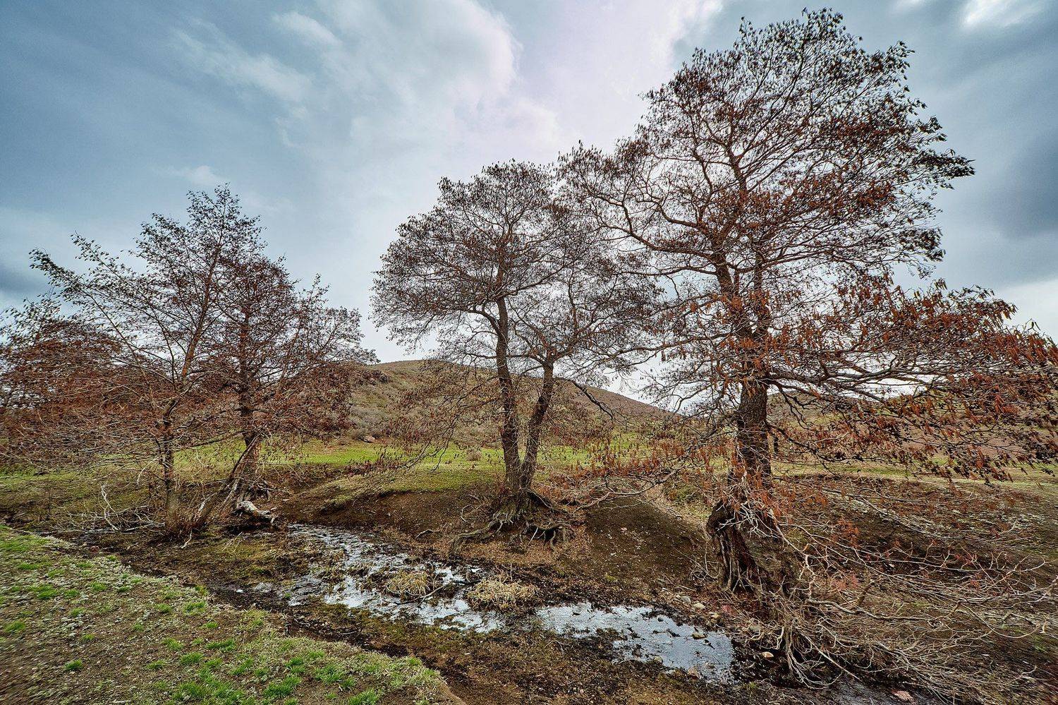 южный урал,оренбургская область, орск, новотроицк,, Качурин Алексей