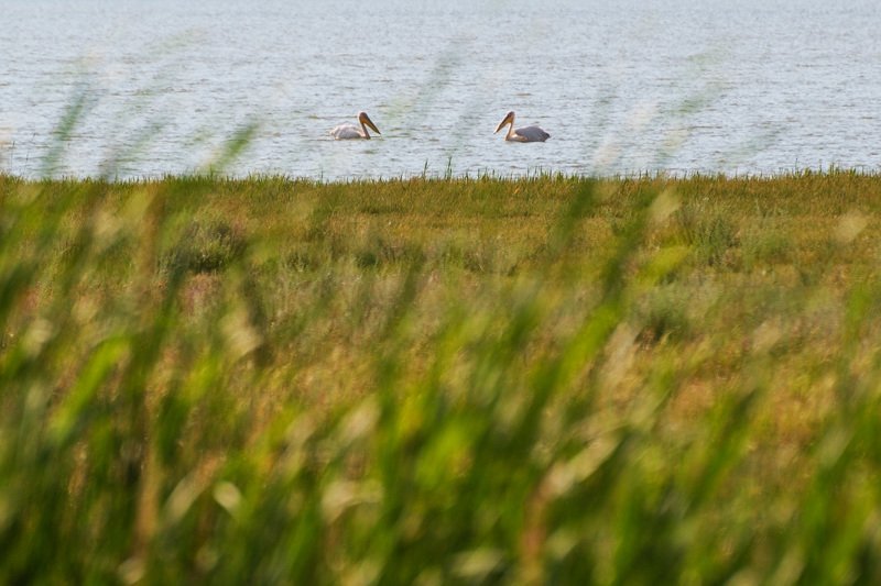 2017 фото превью