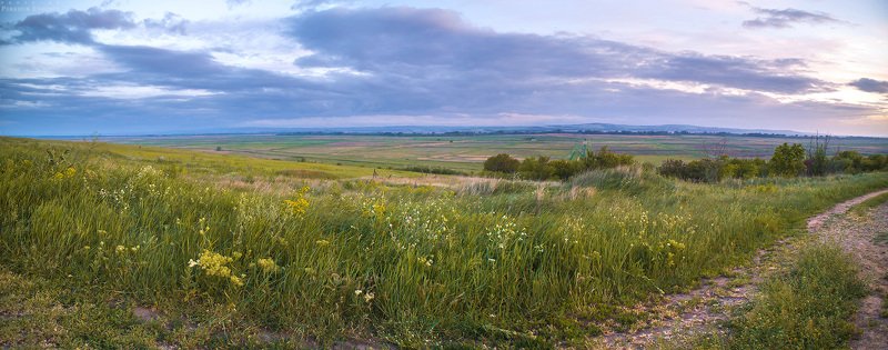 родные, просторы, поле, трава, небо, панорама, темрюк Родные просторы фото превью