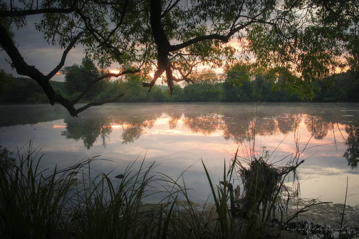 утро, рассвет, пейзаж, московская область, Александр Кыров
