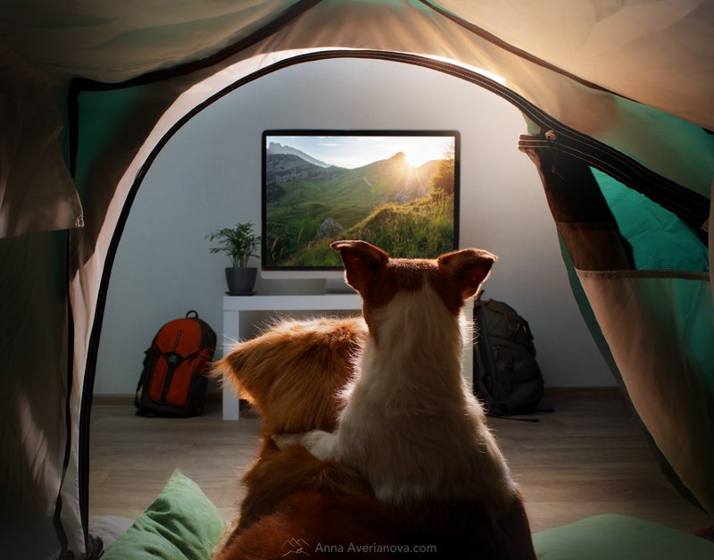 фото превью