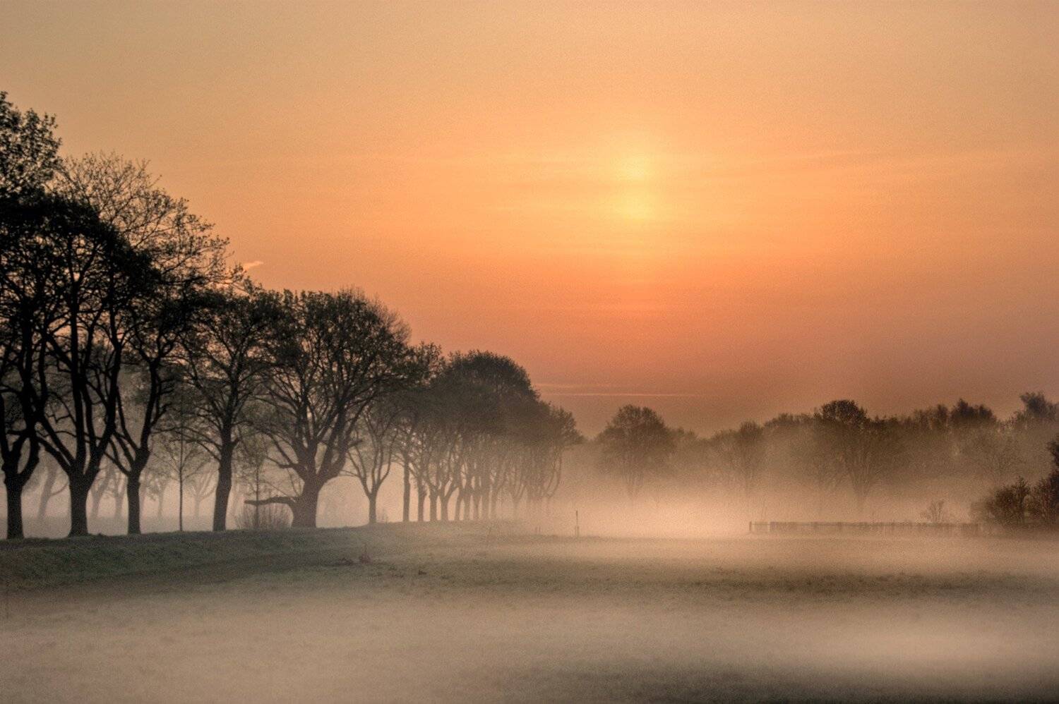 High Dynamic Range Image ,  Peter Hennig