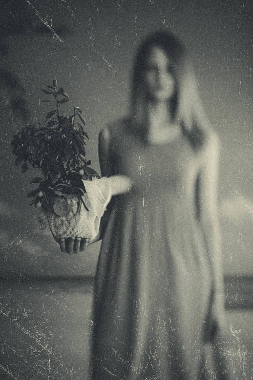 , Artur Politov