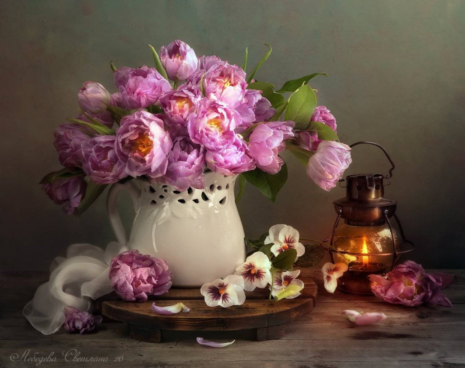 , Светлана Л.