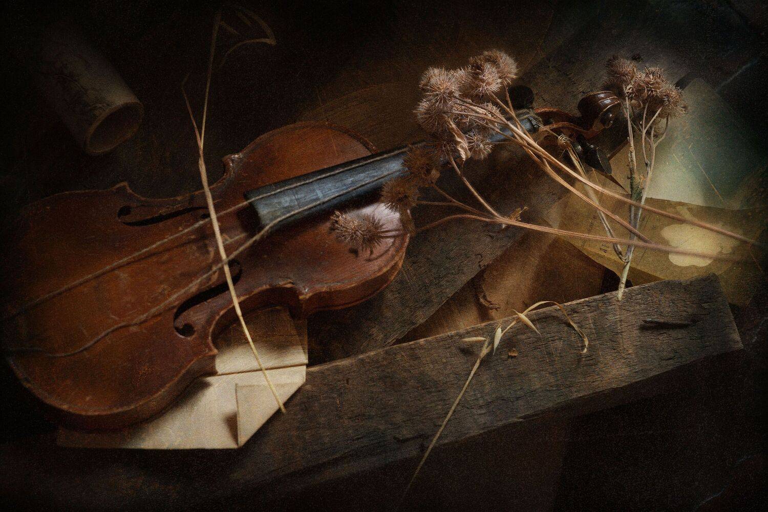 , Ирина Данилова