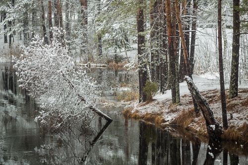 Временный наряд