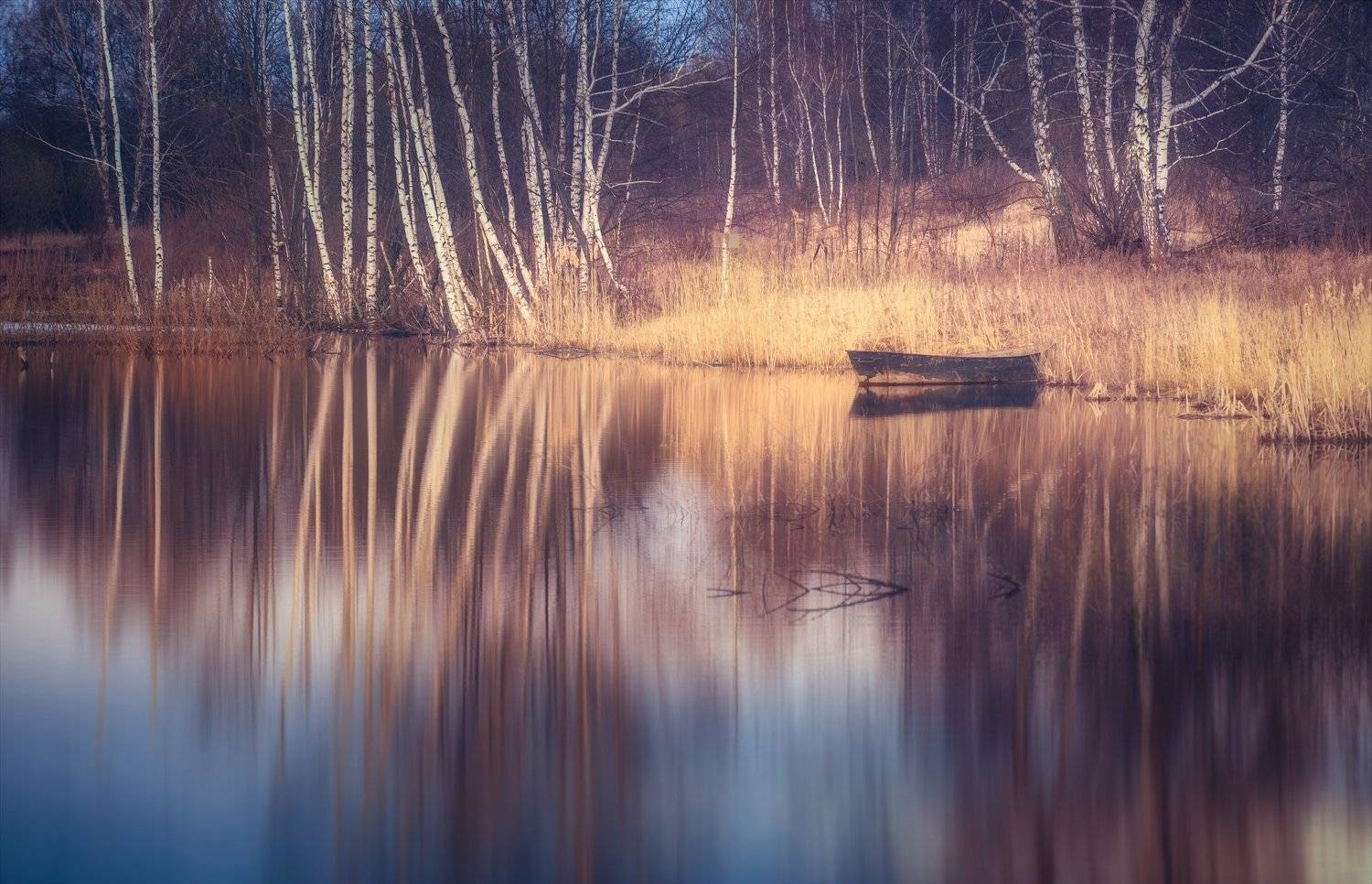, Алексей Богорянов