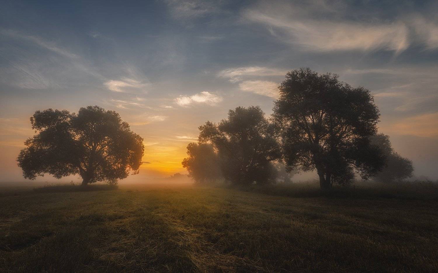 , Олег Дунаев