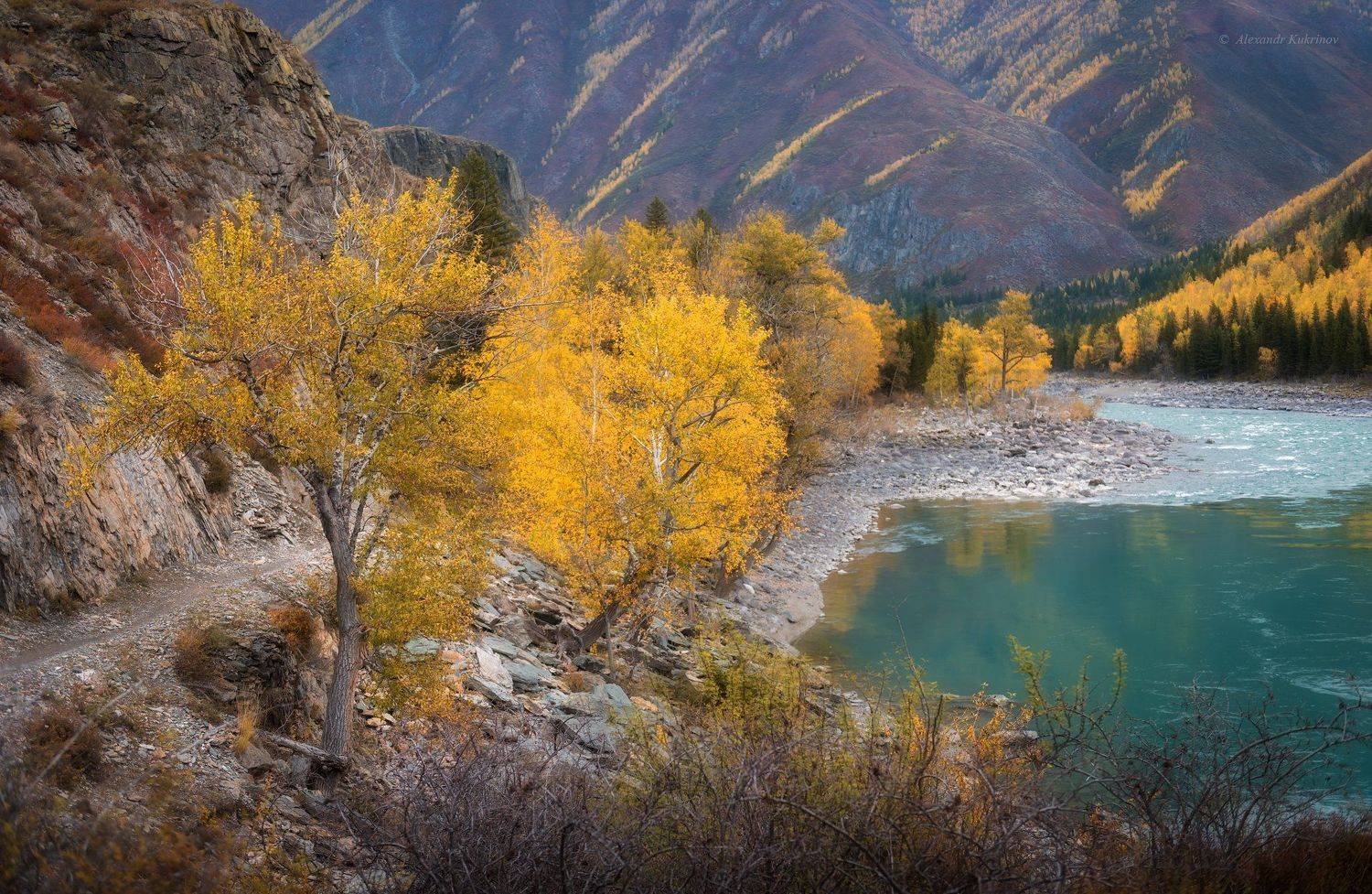 алтай,осень,катунь,пейзаж, Александр Кукринов