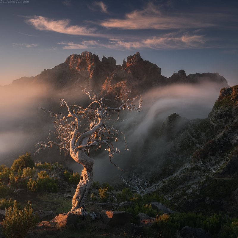 Cloudfall