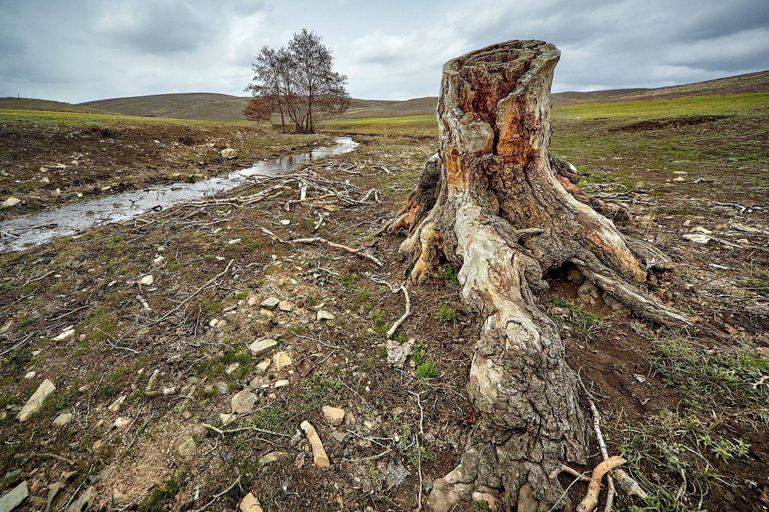 южный урал,оренбургская область, орск, новотроицк,, Качурин Алексей