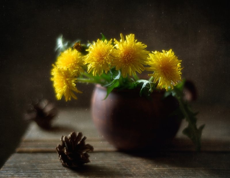 одуванчики... фото превью