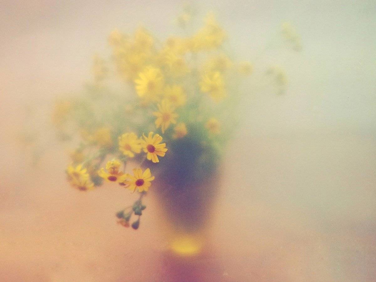 , Татьяна Аверина