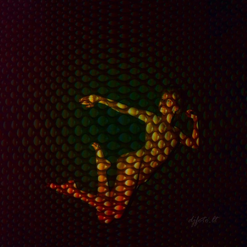 djfoto, nudevilnius, nuderart, vilnius, projection In the Nets фото превью