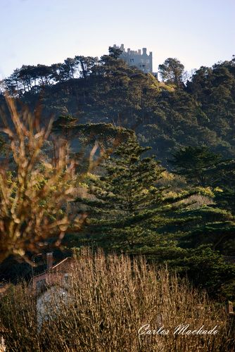 Gregório Castel - Sintra