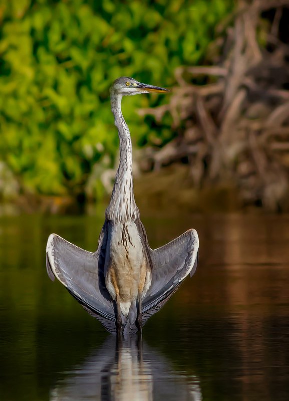 ,,.---.,.-.,-, фото превью