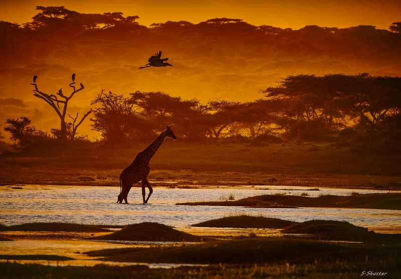 Sunset, Tanzania фото превью