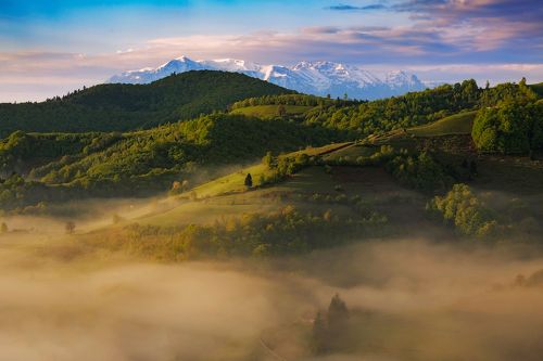 Magic Morning