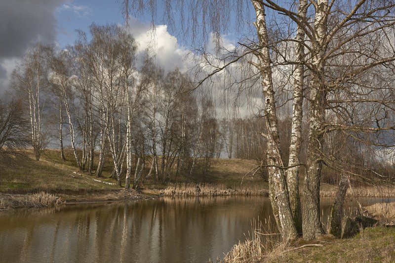 весна фото превью