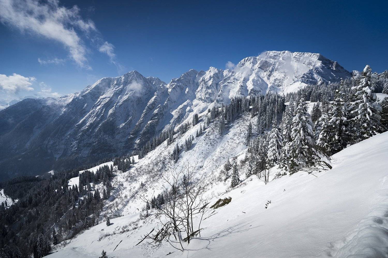 , Владислав