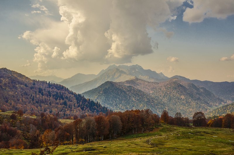 На Альпийских лугах Абхазии фото превью