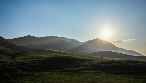 На горных пастбищах..