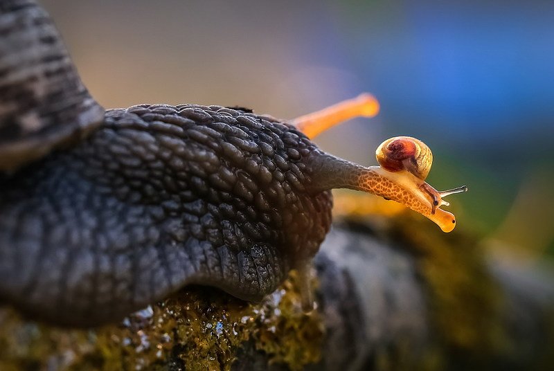 Любимой крохе можно все... фото превью