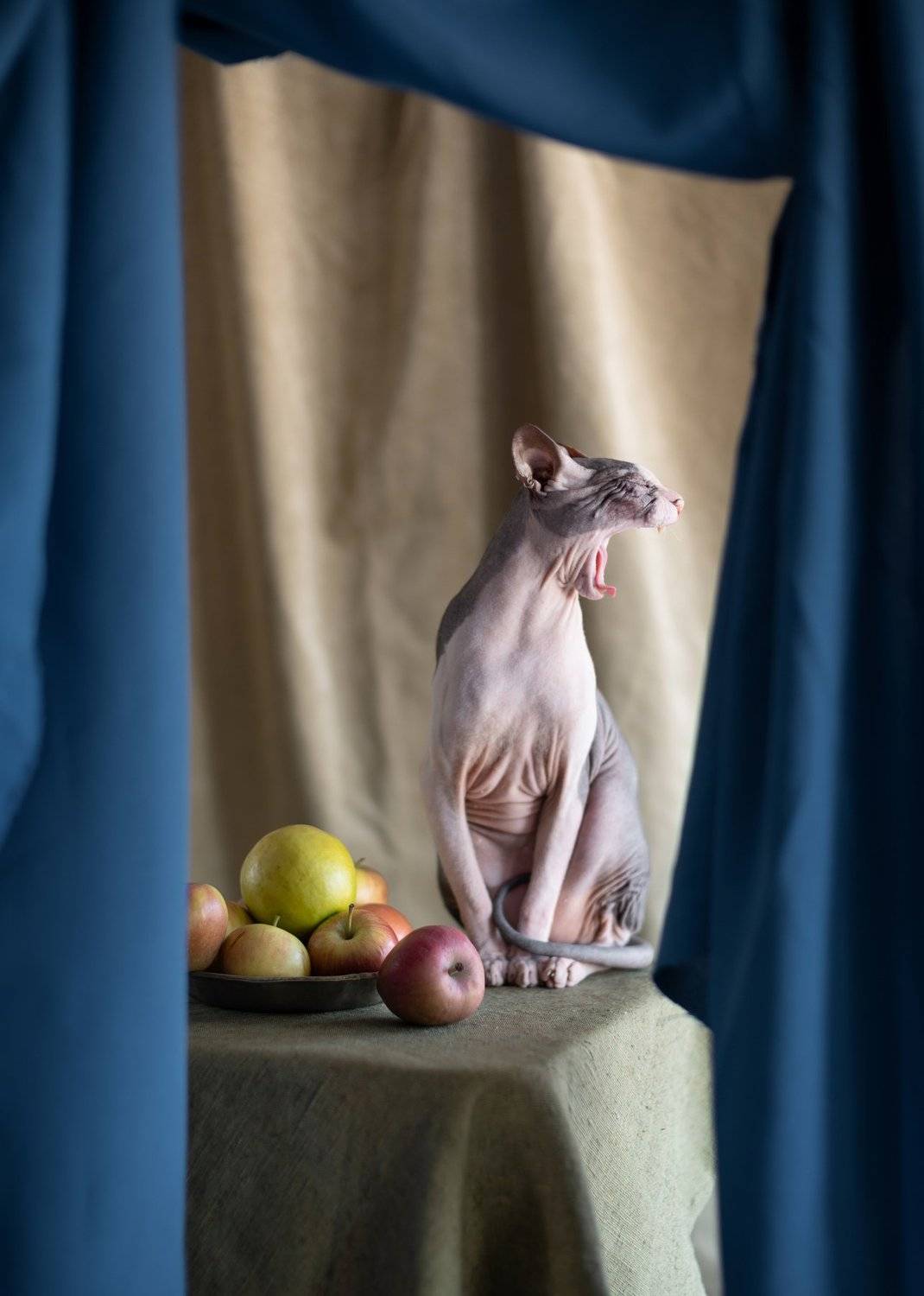 , Игорь Крюков