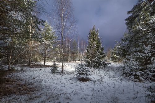 зима вернулась
