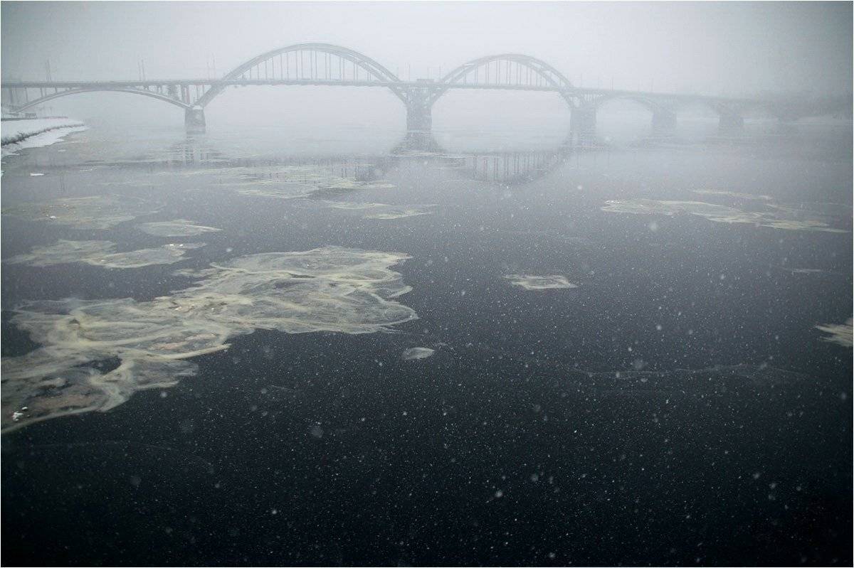 , Дарья Васильева