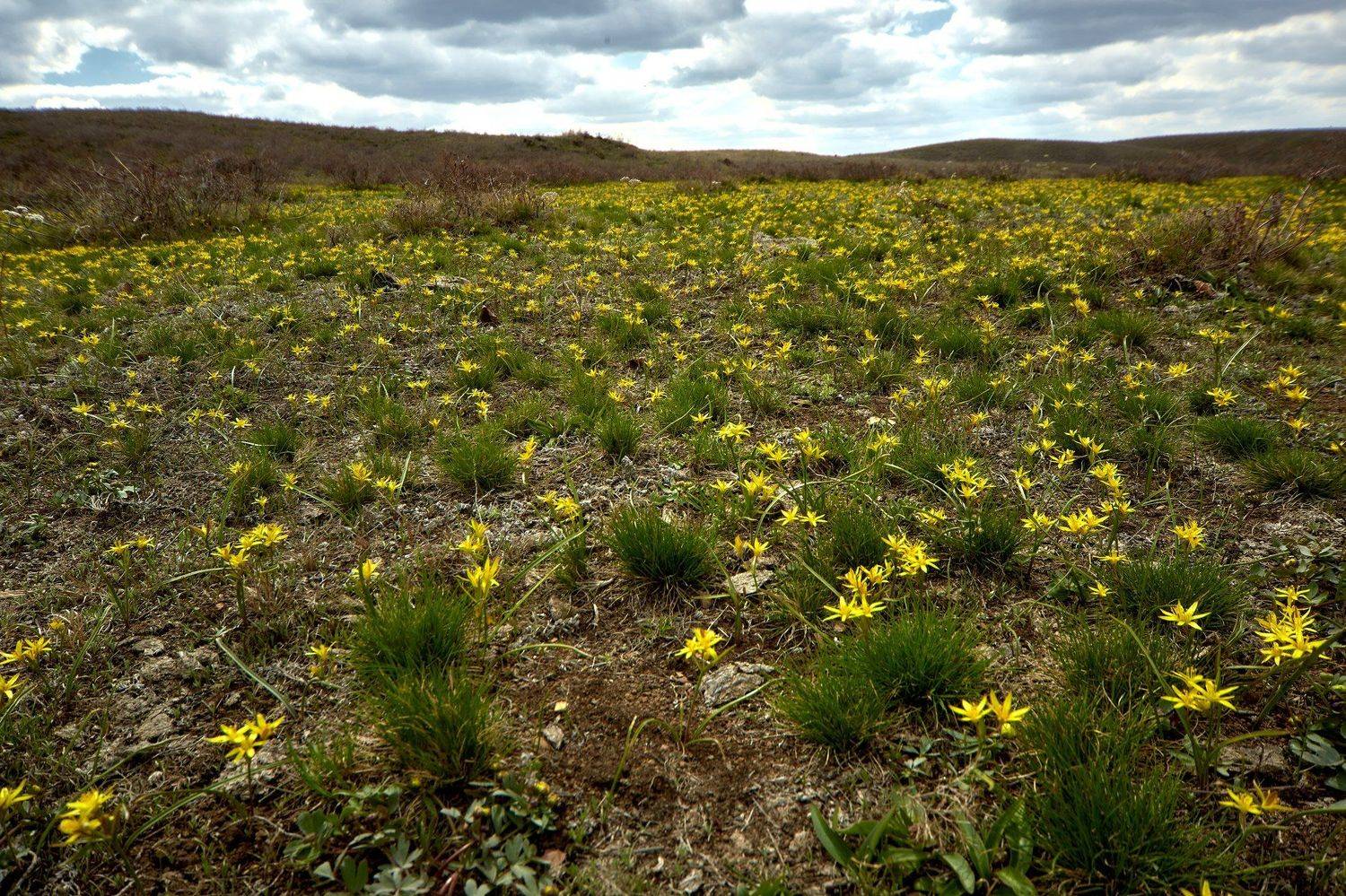 южный урал,оренбургская область, орск, новотроицк,, Качурин Алексей